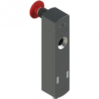 Защитный выключатель RFID с соленоидом PIZZATO серии NS NSG4CE1SMK